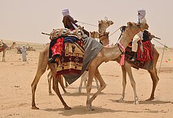 مقطع 6