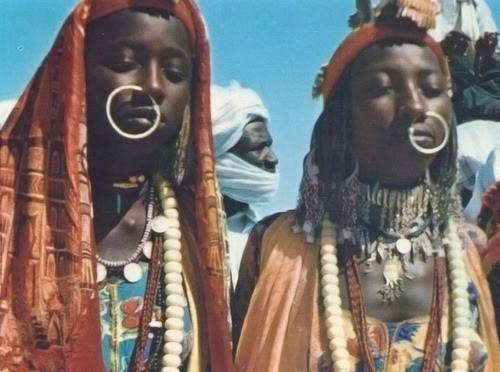مقطع 1